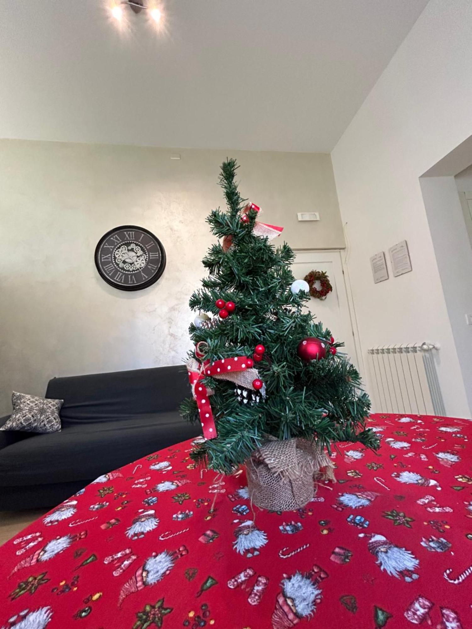 Apartment Vicoatenea