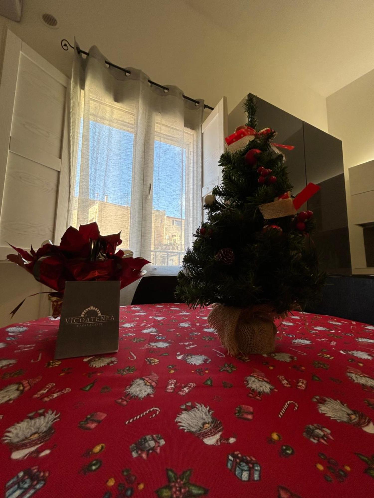 Apartment Vicoatenea